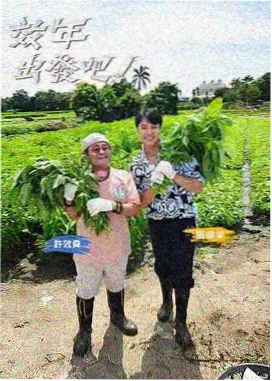 创刊号主打二:庭院窗棂与远山的年代剧氛围
